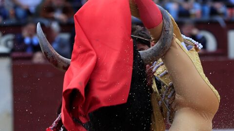 Gonzalo Caballero, ingresado en Las Ventas. 