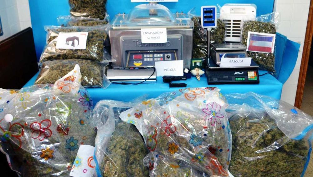 Desarticulan un centro de envasado de marihuana en Vinaròs con destino Europa