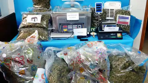 Desarticulan un centro de envasado de marihuana en Vinaròs con destino Europa Desarticulan un centro de envasado de marihuana en Vinaròs con destino Europa