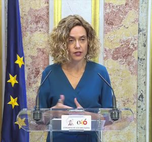 Batet pide al Tribunal Supremo que aclare la situación de los diputados presos Batet pide al Tribunal Supremo que aclare la situación de los diputados presos
