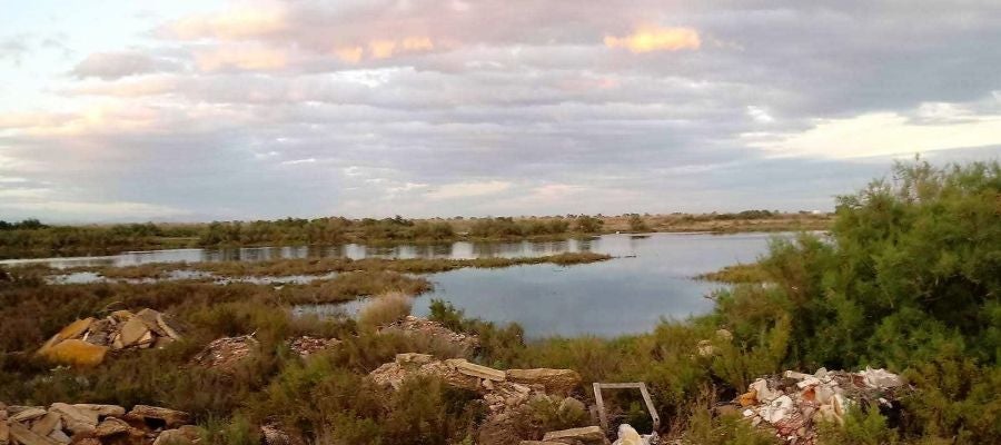 Zona en la que se denuncia la desecación en el parque natural de El Hondo. Zona en la que se denuncia la desecación en el parque natural de El Hondo.