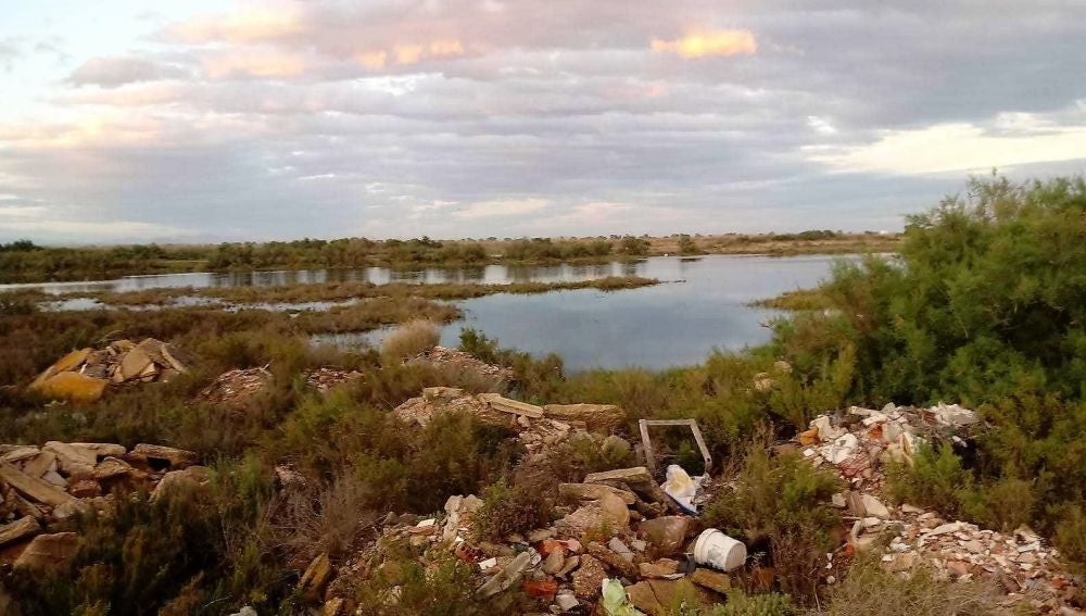 Zona en la que se denuncia la desecación en el parque natural de El Hondo. 