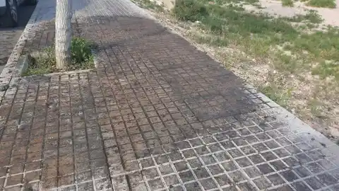Acera sucia en Elche por la caída de flores de un árbol. Acera sucia en Elche por la caída de flores de un árbol.