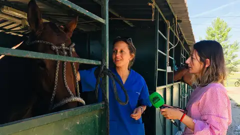 Monica Domínguez, veterinaria de caballos, con Alicia Heras Monica Domínguez, veterinaria de caballos, con Alicia Heras