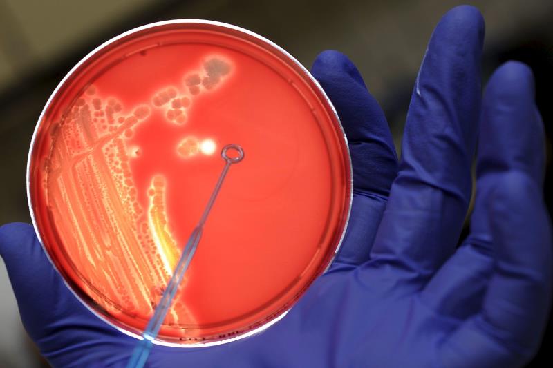 Más de 26.000 personas morirán este año en España por infecciones de bacterias resistentes a los antibióticos Más de 26.000 personas morirán este año en España por infecciones de bacterias resistentes a los antibióticos