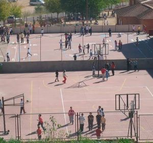 Pulgas en el colegio Cayetano Bolívar de Málaga Pulgas en el colegio Cayetano Bolívar de Málaga