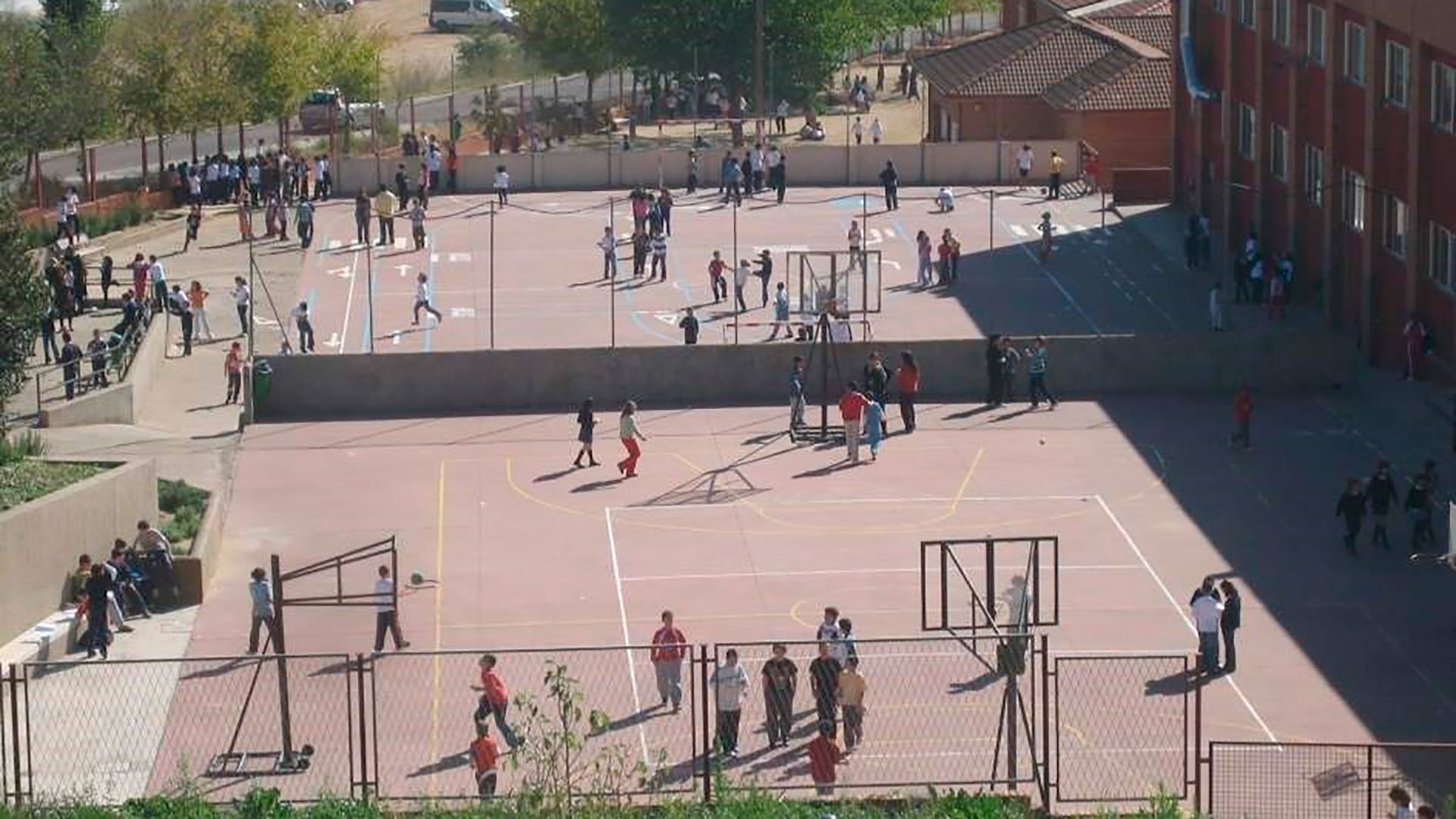 Una plaga de pulgas obliga al cierre del colegio Cayetano Bolívar, este viernes Una plaga de pulgas obliga al cierre del colegio Cayetano Bolívar, este viernes