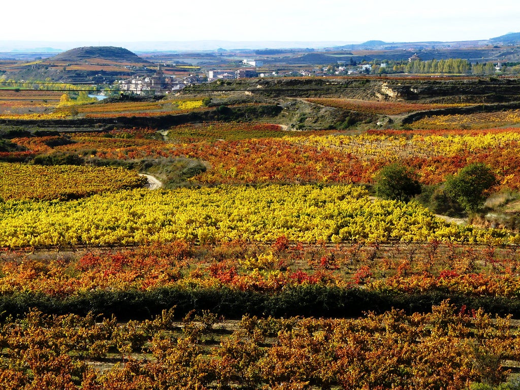 La Brújula de La Rioja 07/03/2021 La Brújula de La Rioja 07/03/2021