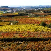 Rioja Alta