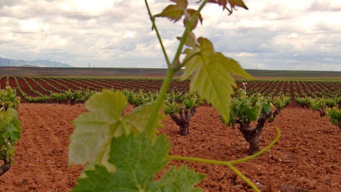 Ribera del Guadiana