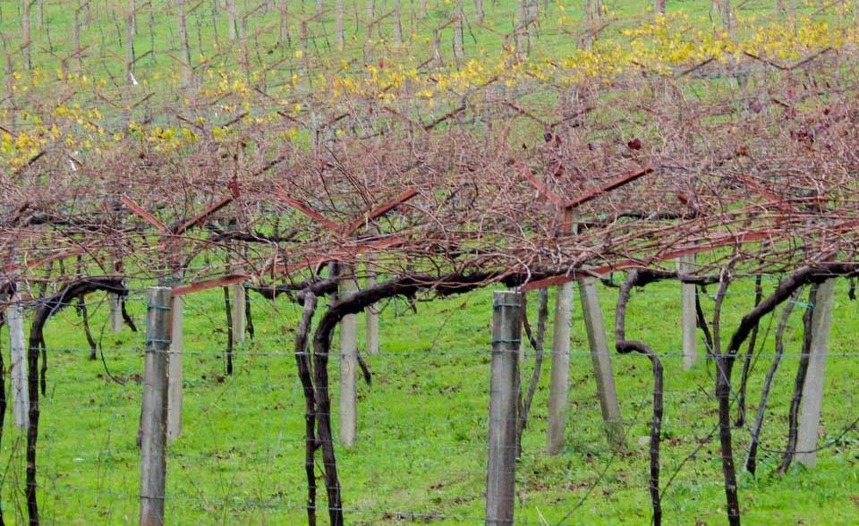 "Dos años de Xacobeo es un gran regalo de Reyes para el Turismo" "Dos años de Xacobeo es un gran regalo de Reyes para el Turismo"