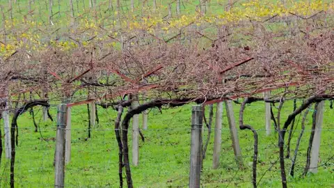 Rías Baixas Rías Baixas