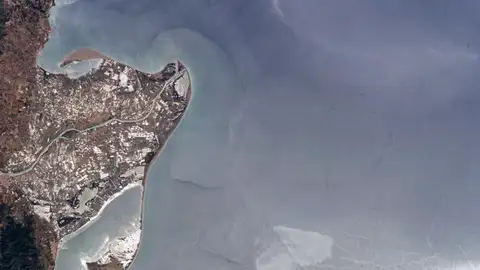 Delta del Ebro. 03-06-2004. Delta del Ebro. 03-06-2004.