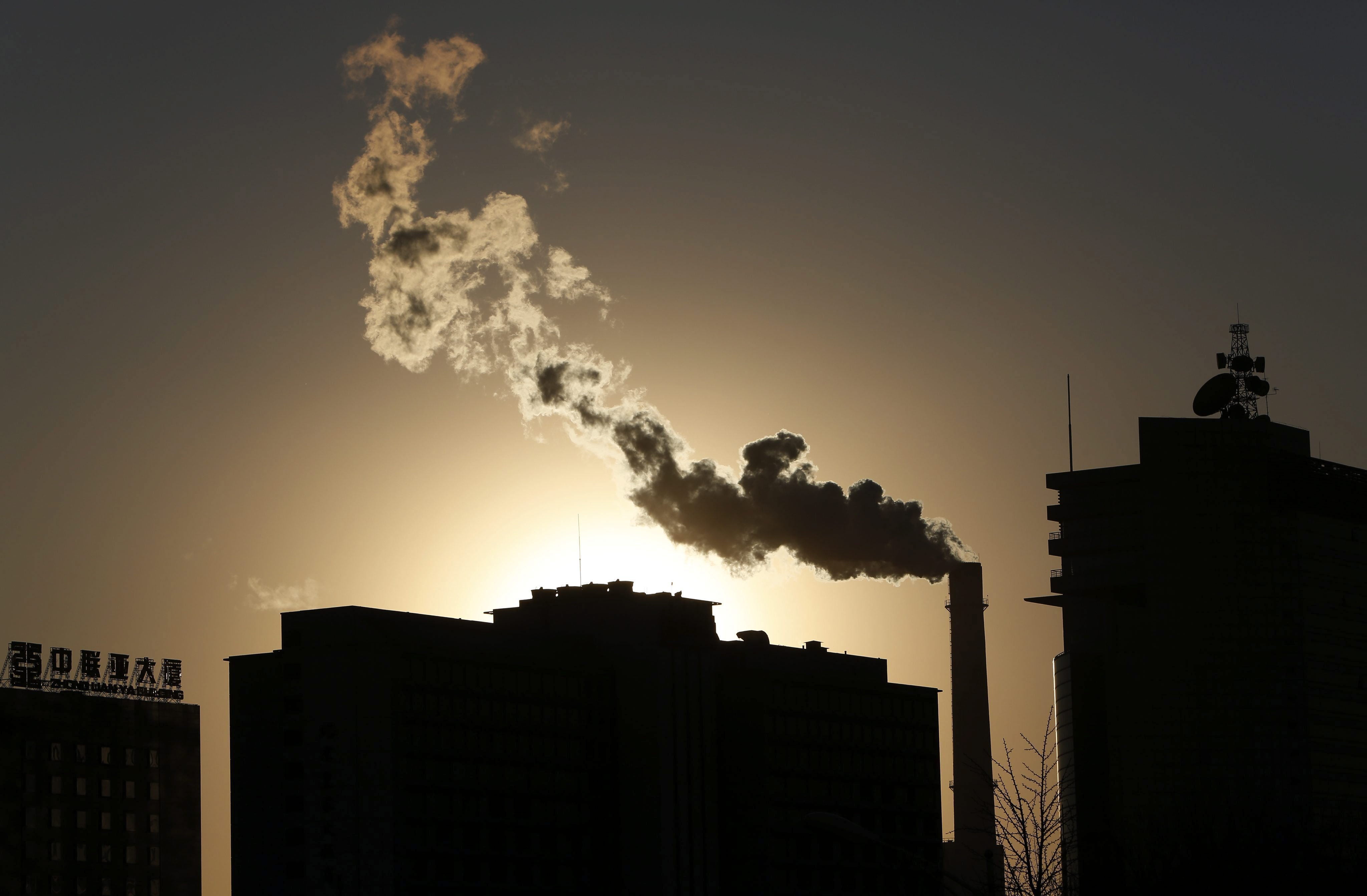 El medio ambiente, entre los principales problemas de España para los jóvenes El medio ambiente, entre los principales problemas de España para los jóvenes