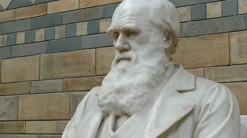Estatua de Darwin Estatua de Darwin