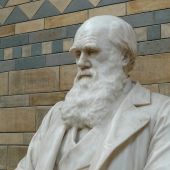 Estatua de Darwin