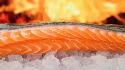 Salmón, rico en Omega 3 Salmón, rico en Omega 3