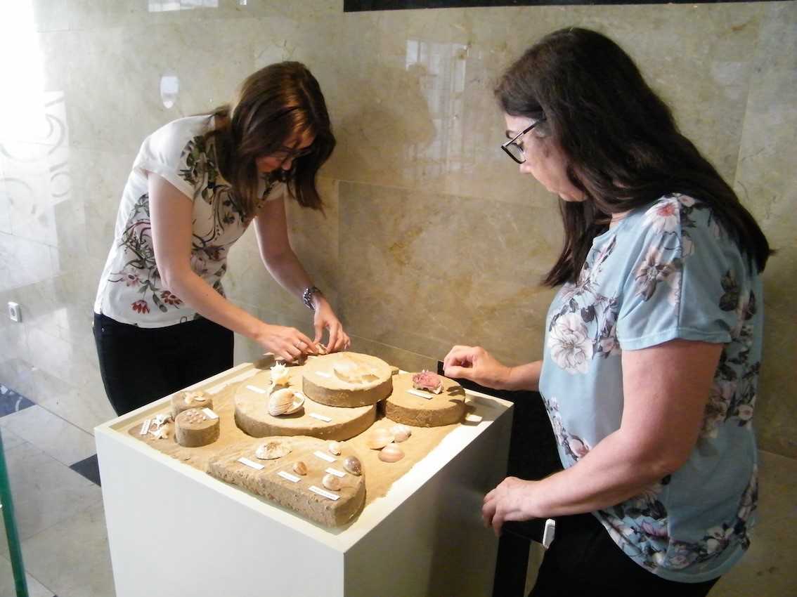El MUPE expone una selección de conchas marinas características de la costa mediterránea El MUPE expone una selección de conchas marinas características de la costa mediterránea
