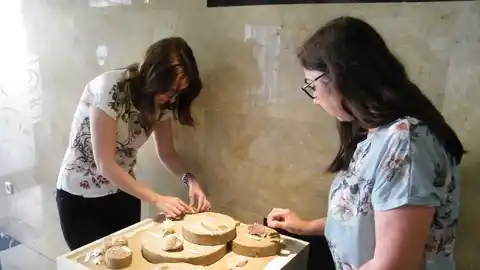 Exposición de conchas marinas del mediterráneo en el MUPE de Elche. Exposición de conchas marinas del mediterráneo en el MUPE de Elche.