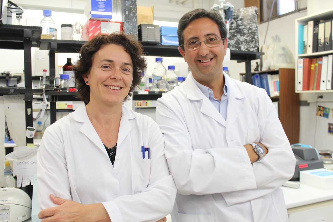 Un estudio concluye que la presencia de una micotoxina propia de alimentos reduce las células humanas en la fase embrionaria Un estudio concluye que la presencia de una micotoxina propia de alimentos reduce las células humanas en la fase embrionaria