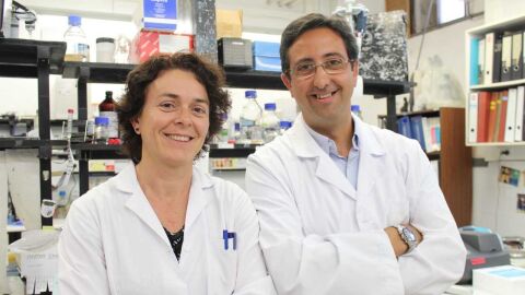 Investigadores de la Universidad CEU Cardenal Herrera.