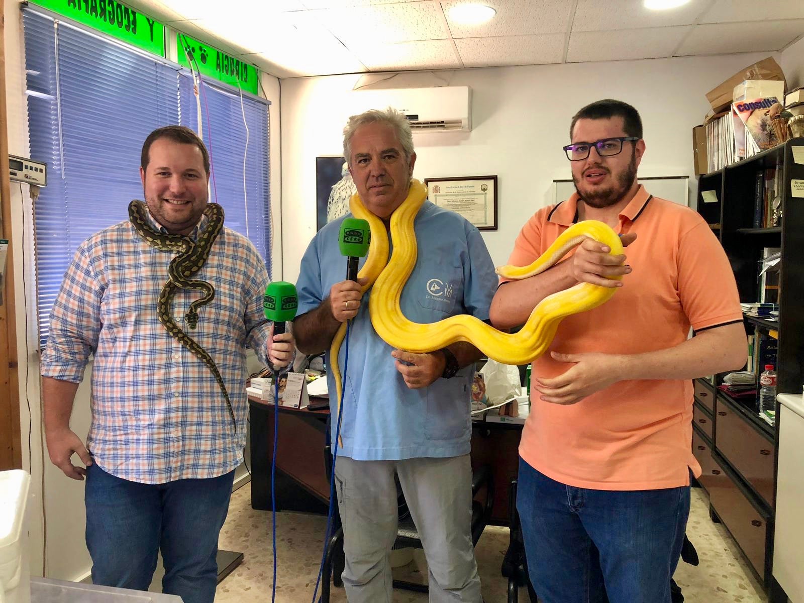 Especial consultorio veterinario sobre reptiles Especial consultorio veterinario sobre reptiles