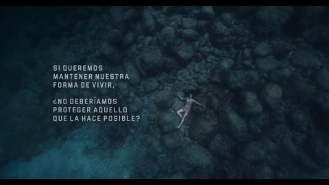 El nuevo anuncio de Estrella Damm sobre la protecci&oacute;n del Mediterr&aacute;neo que remueve conciencias