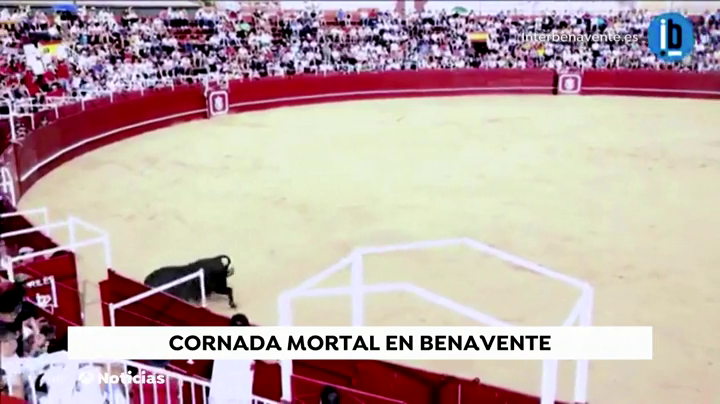 Muere un torilero de una cornada en la plaza de toros de Benavente Muere un torilero de una cornada en la plaza de toros de Benavente