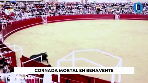 Un toro mata a un operario en la plaza de toros de Benavente 