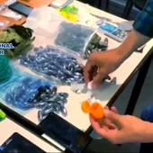 Parte de la droga incautada por la Policía Nacional en Elche. Parte de la droga incautada por la Policía Nacional en Elche.
