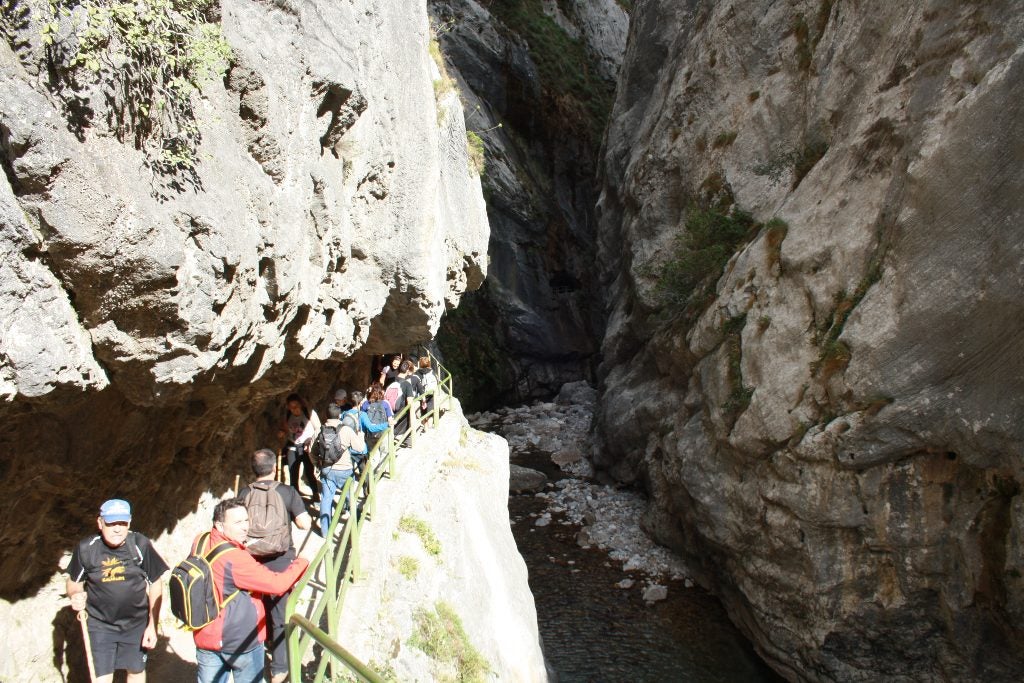 ¿Es necesario regular el turismo de naturaleza? ¿Es necesario regular el turismo de naturaleza?