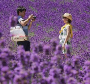 Japón Salvaje - Temporada 1 - Capítulo 3: Hokkaido Japón Salvaje - Temporada 1 - Capítulo 3: Hokkaido