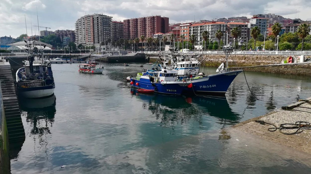 Qué sabemos de... el pescado Qué sabemos de... el pescado