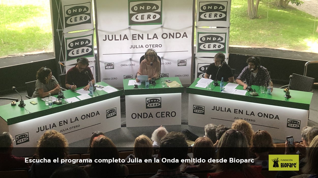Julia en la Onda desde Bioparc (Programa Completo) Julia en la Onda desde Bioparc (Programa Completo)