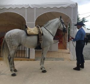 El día grande del Corpus se pasea por las calles de Granada El día grande del Corpus se pasea por las calles de Granada