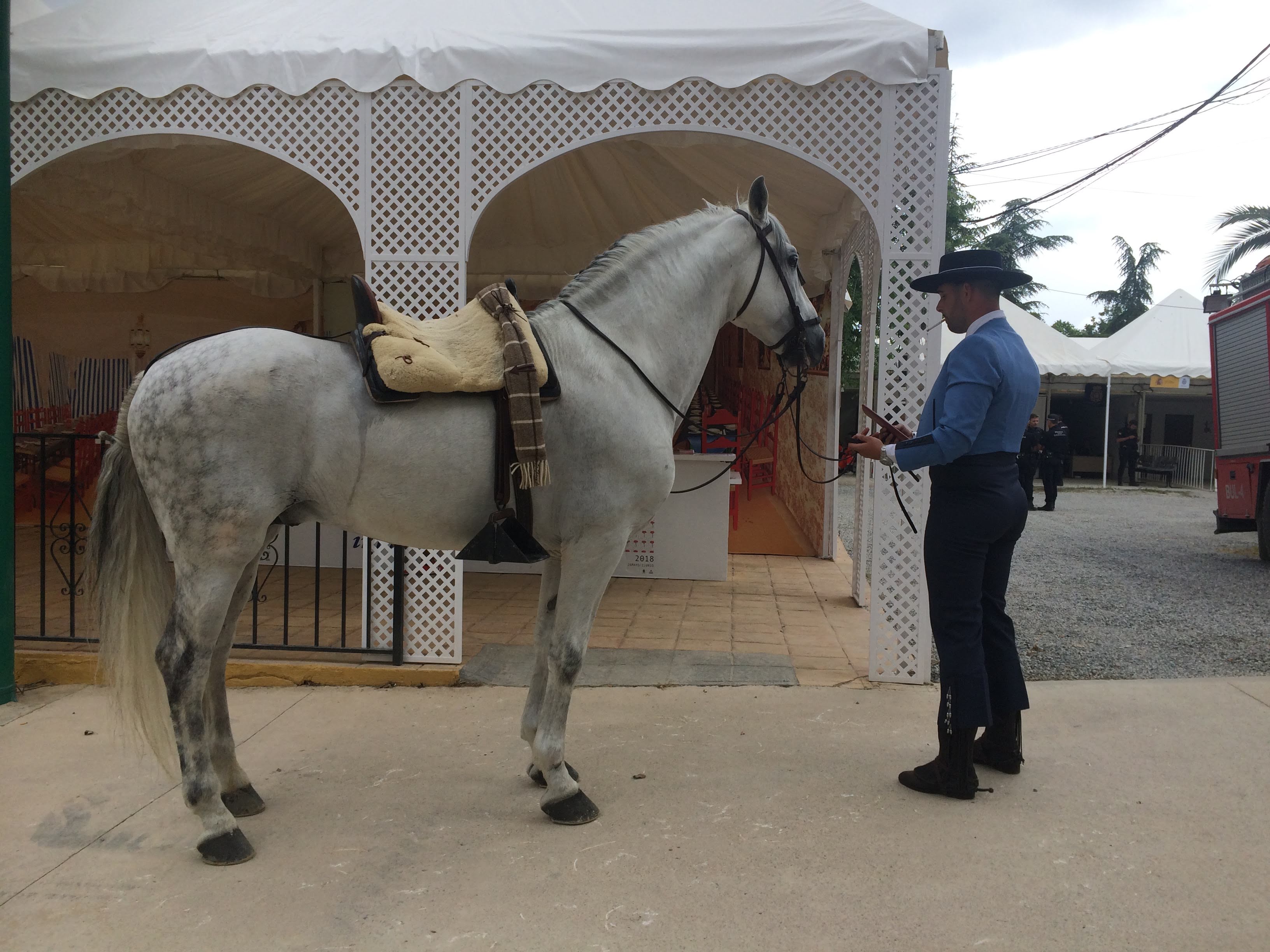 El día grande del Corpus se pasea por las calles de Granada El día grande del Corpus se pasea por las calles de Granada