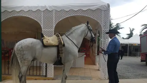 El día grande del Corpus se pasea por las calles de Granada El día grande del Corpus se pasea por las calles de Granada