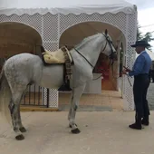 El día grande del Corpus se pasea por las calles de Granada El día grande del Corpus se pasea por las calles de Granada