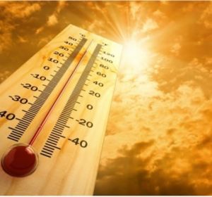 Este fin de semana los termómetros pueden alcanzar los 42ºC Este fin de semana los termómetros pueden alcanzar los 42ºC