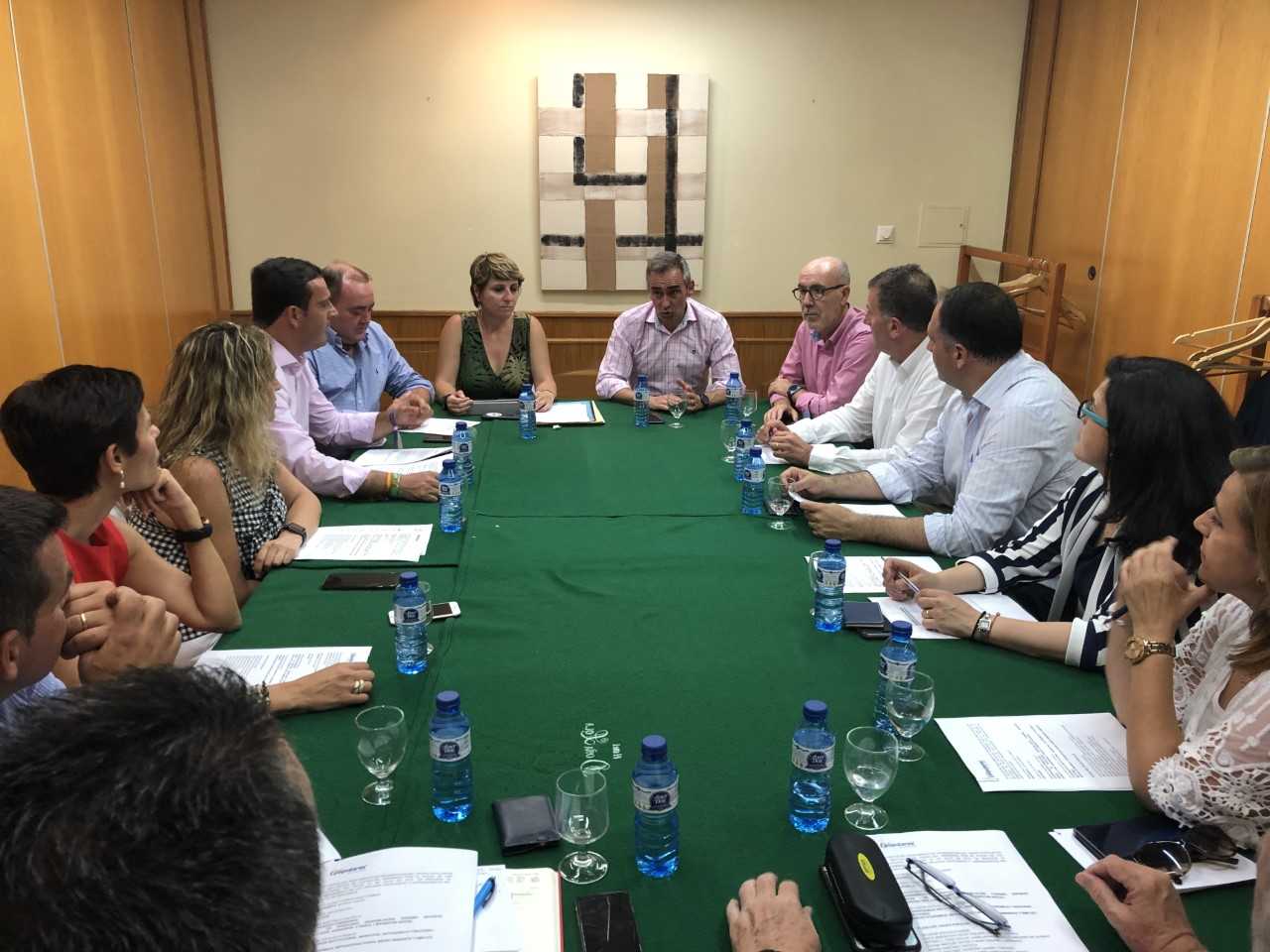 Elena Vicente-Ruiz presidirá el grupo popular en la Diputación y Vicent Sales será el portavoz Elena Vicente-Ruiz presidirá el grupo popular en la Diputación y Vicent Sales será el portavoz