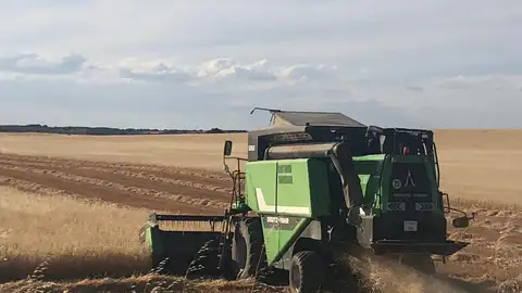 cosechadora cereal cuenca