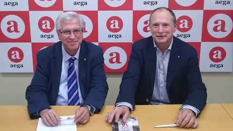 AEGA situación del sector de la automoción AEGA situación del sector de la automoción