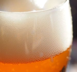 Cerveza Cerveza