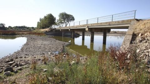 La unidad territorial del Vicario podr&iacute;a ser declarada en alerta por sequ&iacute;a prolongada