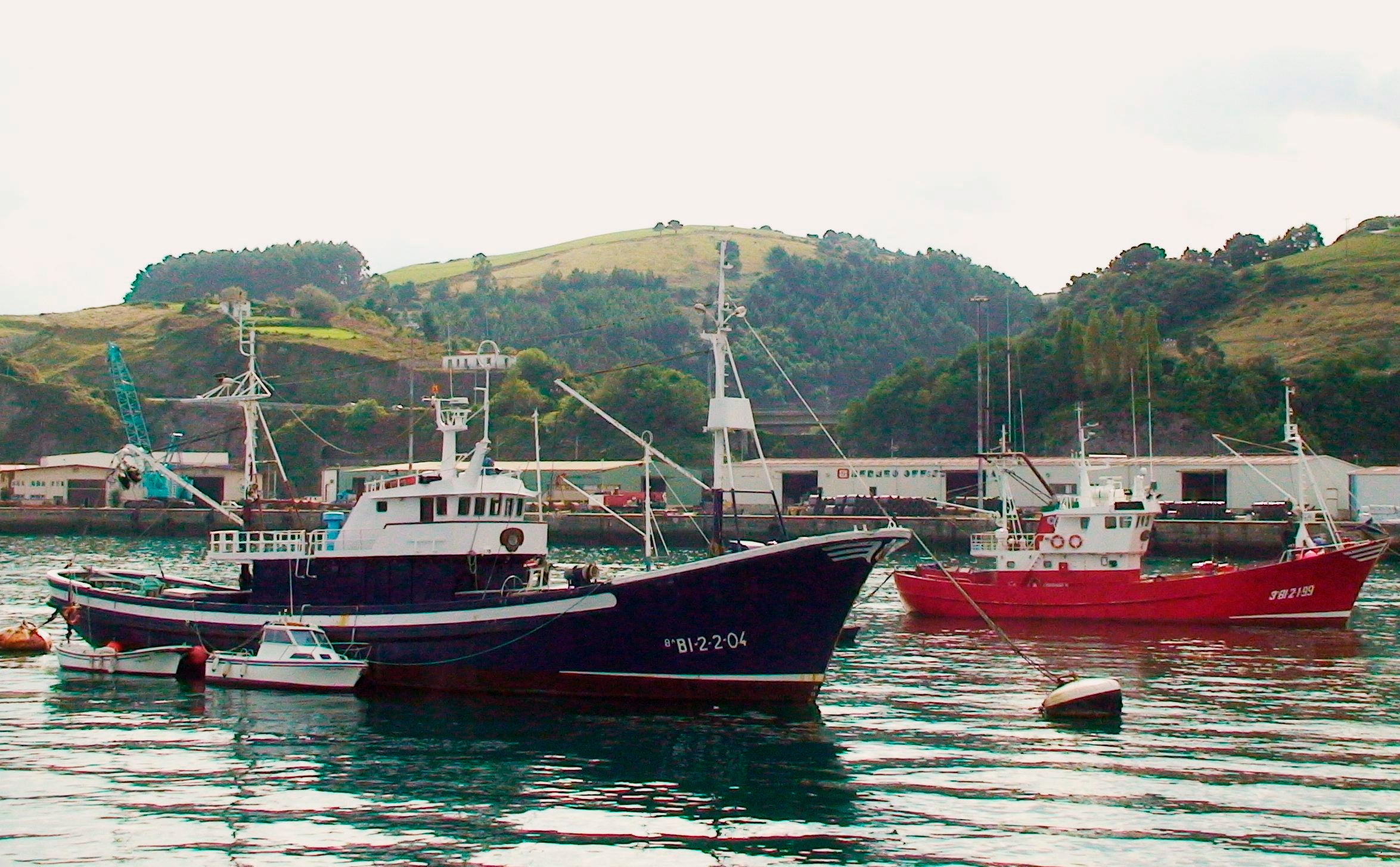 Herida una niña tras ser arrollada por una lancha en el puerto de Bermeo Herida una niña tras ser arrollada por una lancha en el puerto de Bermeo