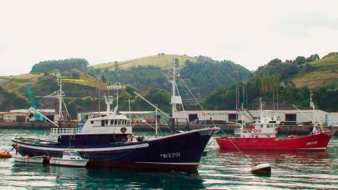 Imagen de dos barcos pesqueros en Bizkaia Imagen de dos barcos pesqueros en Bizkaia