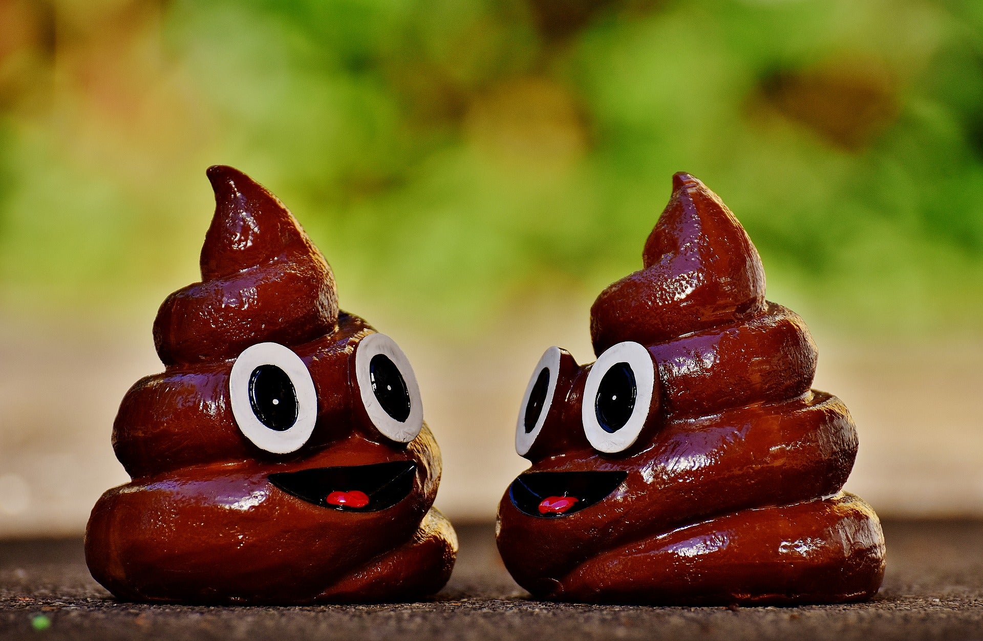 Eureka: curiosidades científicas de la caca Eureka: curiosidades científicas de la caca
