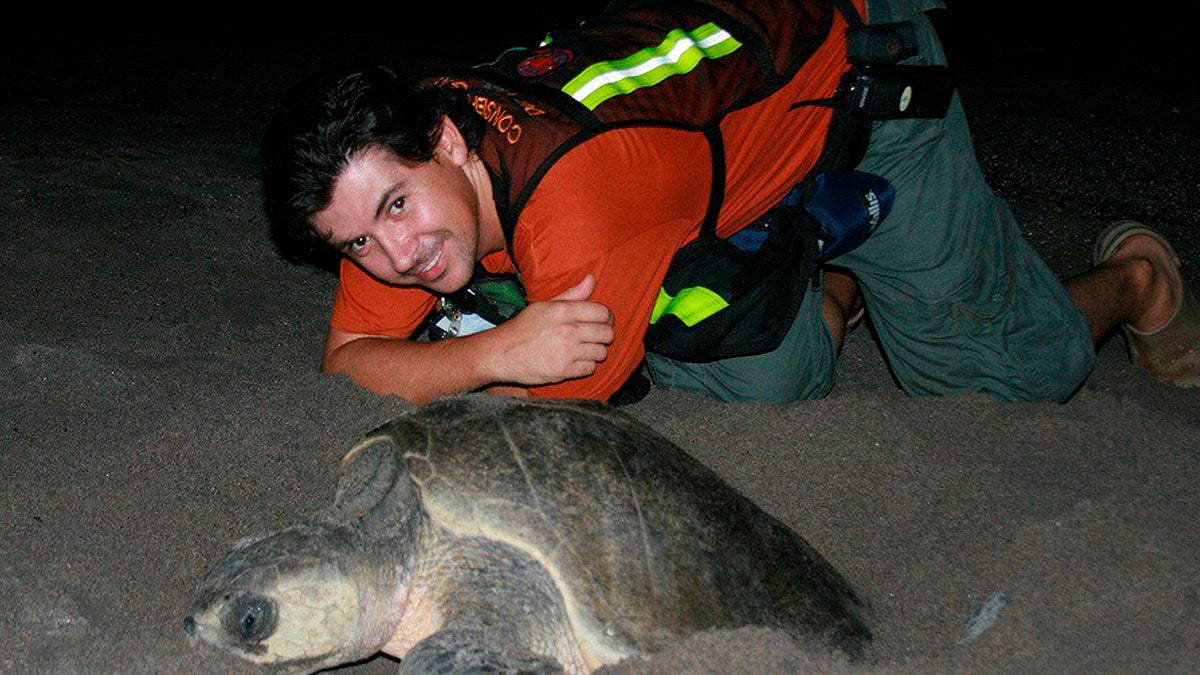 El biólogo perseguido por los narcos por proteger huevos de tortuga El biólogo perseguido por los narcos por proteger huevos de tortuga