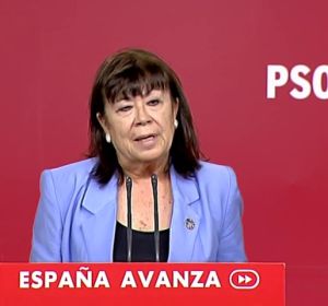 El PSOE insiste en un gobierno monocolor a ser posible este mes El PSOE insiste en un gobierno monocolor a ser posible este mes