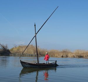 La Albufera La Albufera